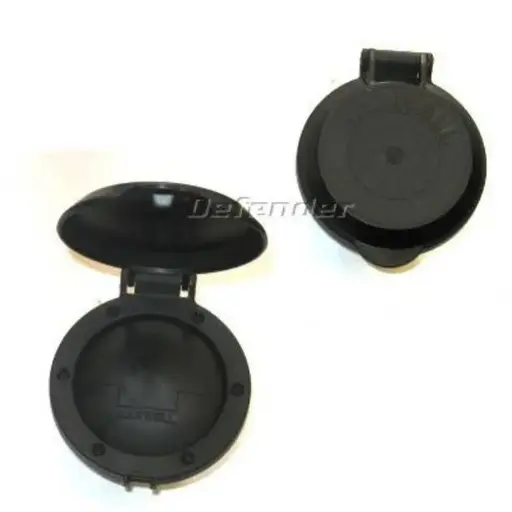 [#874959] Maxwell Windlass Foot Switch